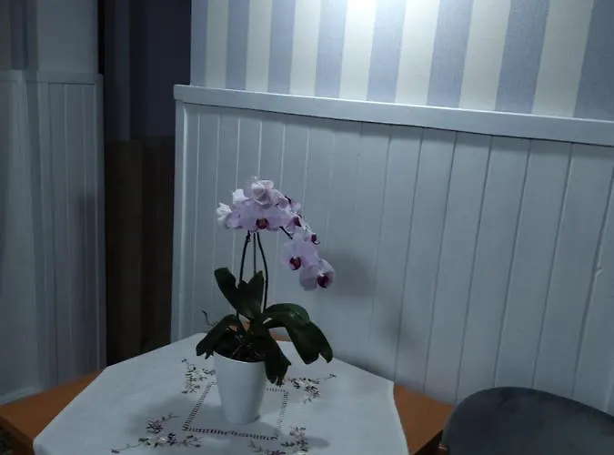 Goscinne Sobieszow *